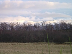 Cairngorms in winter