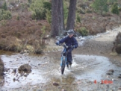 Cycling in Rothiemurchus pinewoods