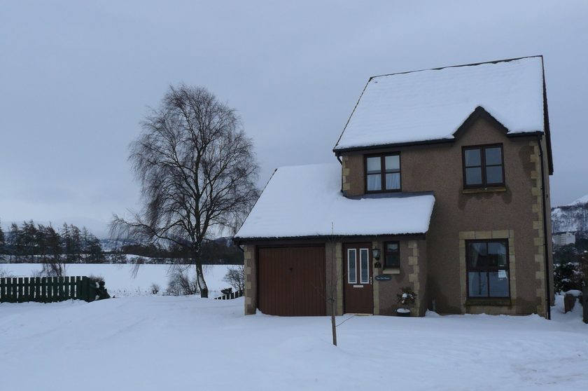 The snow of 2009